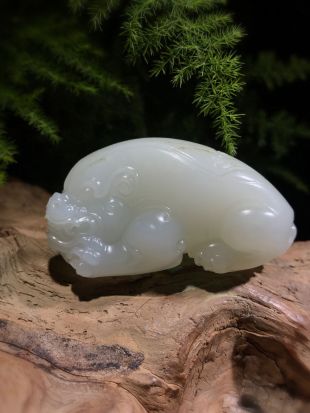 Ʒչʾ